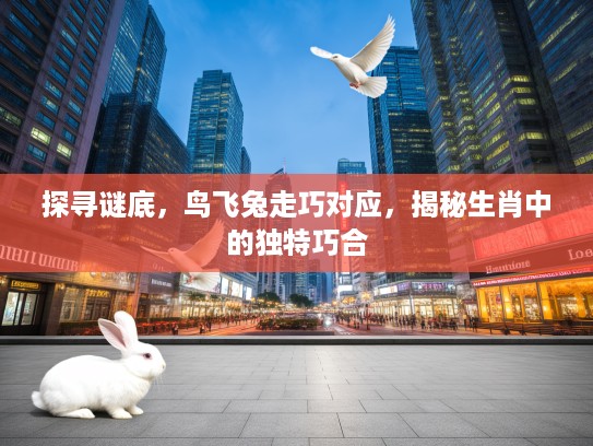 探寻谜底，鸟飞兔走巧对应，揭秘生肖中的独特巧合