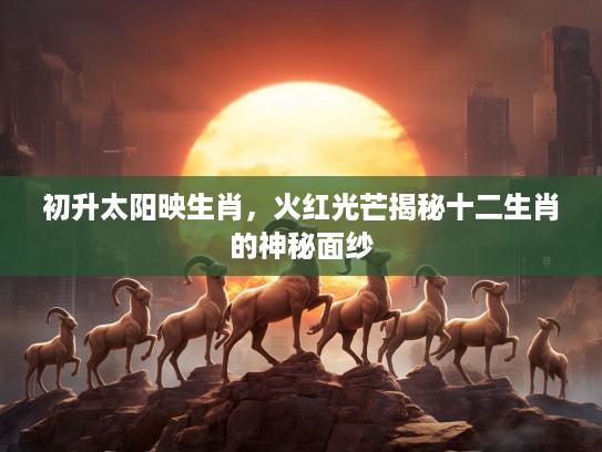 初升太阳映生肖，火红光芒揭秘十二生肖的神秘面纱