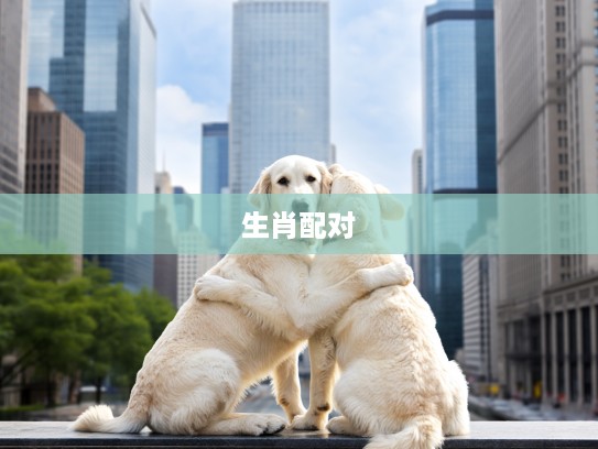 生肖情深,勾肩搭背生肖配对,揭秘生肖间的深情厚谊与独特魅力 生肖情深,勾肩搭背生肖配对,揭秘生肖间的深情厚谊与独特魅力