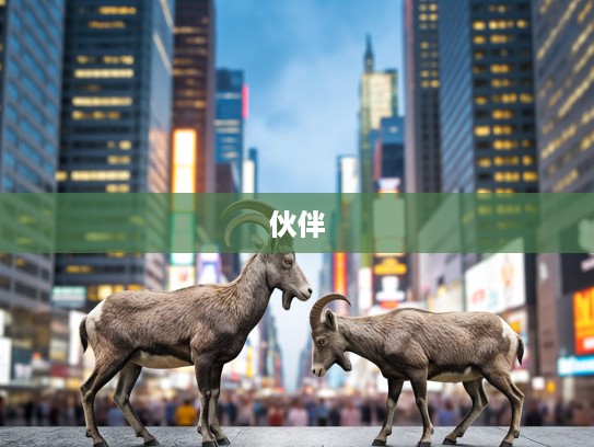 揭秘独力难支生肖,这些生肖天生需要伙伴,探寻独特特质与命运交织之谜 揭秘独力难支生肖,这些生肖天生需要伙伴,探寻独特特质与命运交织之谜