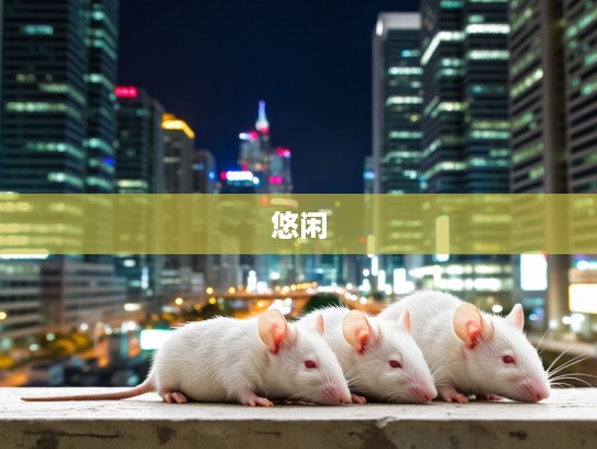 生肖相随，喘息之机下的悠闲时光，探寻子鼠的恬静一刻