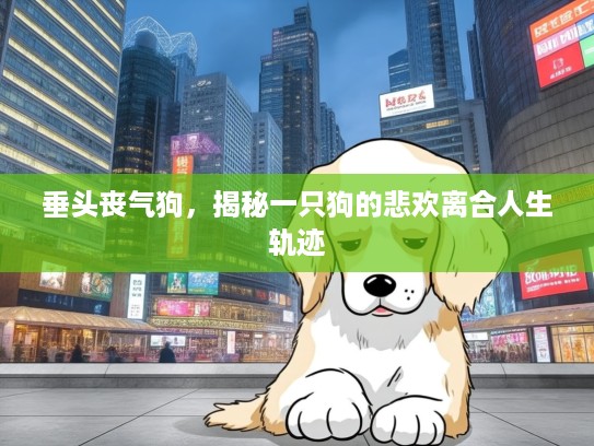 垂头丧气狗，揭秘一只狗的悲欢离合人生轨迹