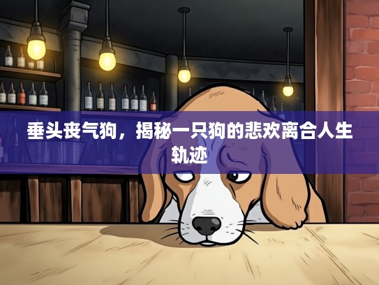 垂头丧气狗，揭秘一只狗的悲欢离合人生轨迹