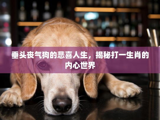 垂头丧气狗的悲喜人生，揭秘打一生肖的内心世界