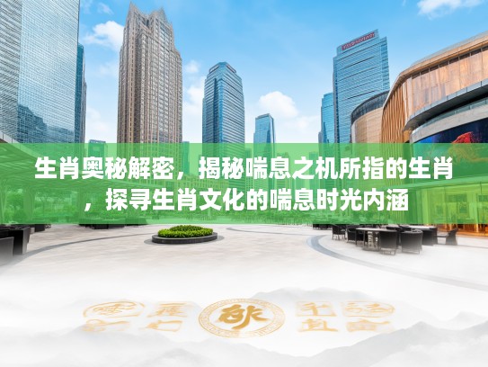 生肖奥秘解密，揭秘喘息之机所指的生肖，探寻生肖文化的喘息时光内涵