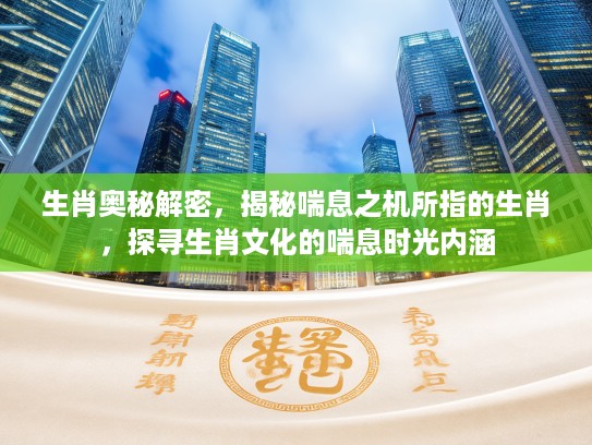 生肖奥秘解密，揭秘喘息之机所指的生肖，探寻生肖文化的喘息时光内涵