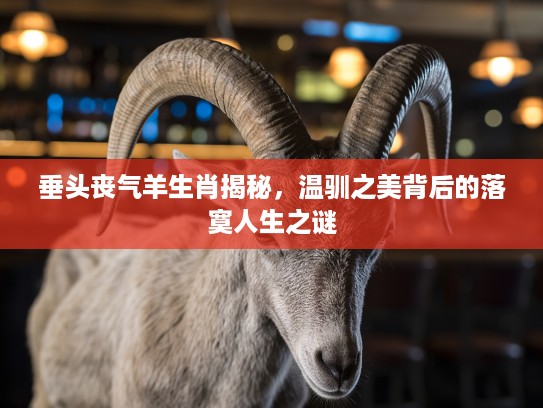 垂头丧气羊生肖揭秘，温驯之美背后的落寞人生之谜