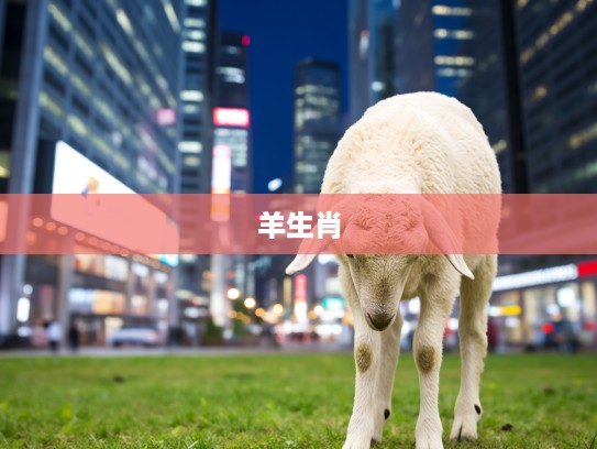 垂头丧气羊生肖揭秘，温驯之美背后的落寞人生之谜