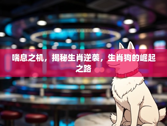 喘息之机,揭秘生肖逆袭,生肖狗的崛起之路 喘息之机,揭秘生肖逆袭,生肖狗的崛起之路