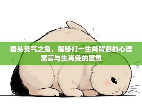 垂头丧气之兔，揭秘打一生肖背后的心理寓言与生肖兔的寓意