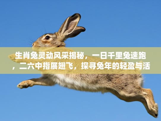 生肖兔灵动风采揭秘，一日千里兔速跑，二六中指展翅飞，探寻兔年的轻盈与活力