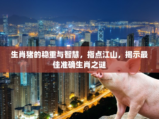 生肖猪的稳重与智慧，指点江山，揭示最佳准确生肖之谜