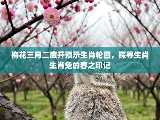 梅花三月二度开预示生肖轮回，探寻生肖生肖兔的春之印记
