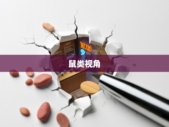 鼠类视角,破除空谈,行动铺就人生成功之道 鼠类视角,破除空谈,行动铺就人生成功之道