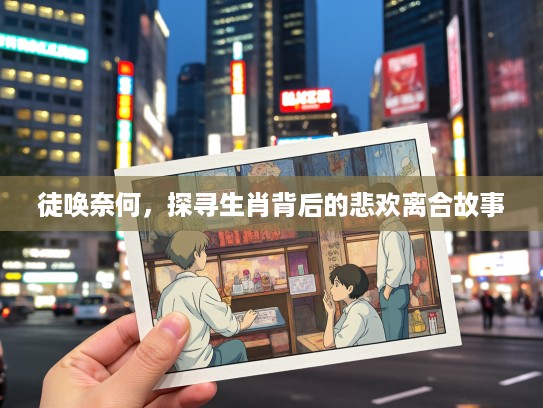 徒唤奈何，探寻生肖背后的悲欢离合故事