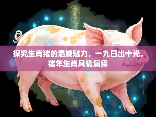 探究生肖猪的温婉魅力,一九日出十光,猪年生肖风情演绎 探究生肖猪的温婉魅力,一九日出十光,猪年生肖风情演绎