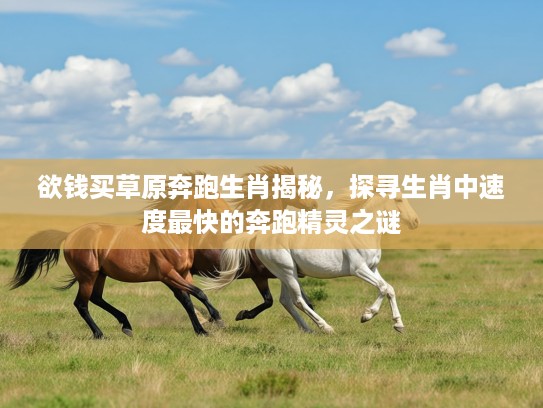 欲钱买草原奔跑生肖揭秘，探寻生肖中速度最快的奔跑精灵之谜