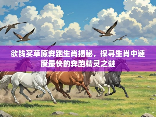 欲钱买草原奔跑生肖揭秘，探寻生肖中速度最快的奔跑精灵之谜