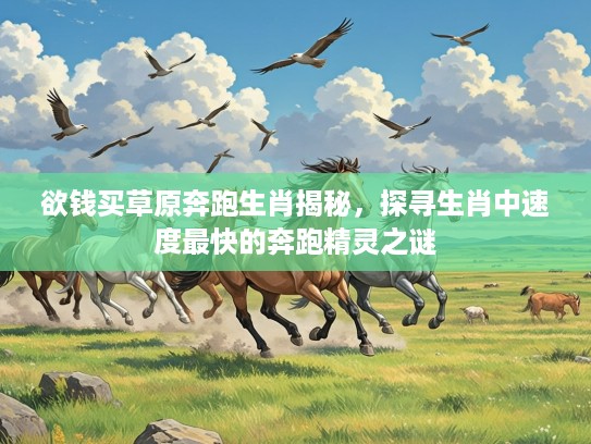 欲钱买草原奔跑生肖揭秘，探寻生肖中速度最快的奔跑精灵之谜