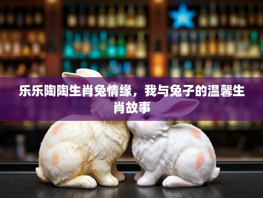 乐乐陶陶生肖兔情缘，我与兔子的温馨生肖故事