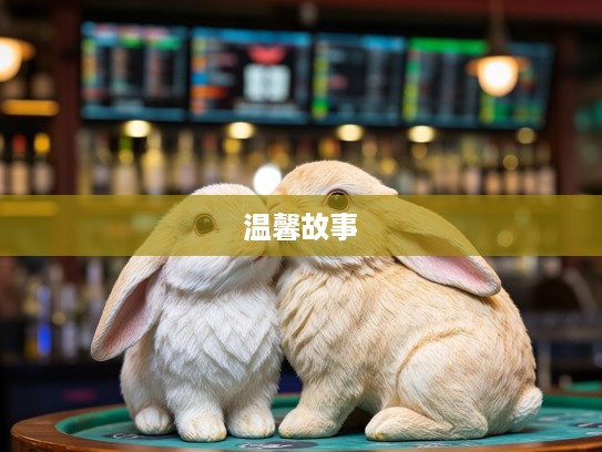 乐乐陶陶生肖兔情缘，我与兔子的温馨生肖故事