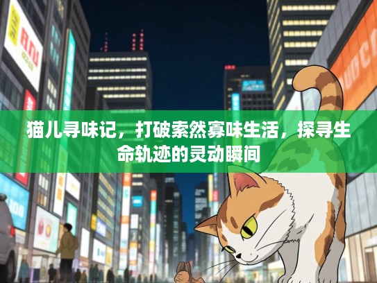 猫儿寻味记,打破索然寡味生活,探寻生命轨迹的灵动瞬间 猫儿寻味记,打破索然寡味生活,探寻生命轨迹的灵动瞬间