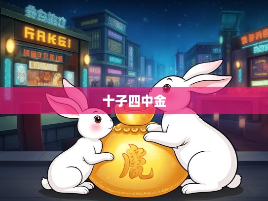 岁月流转生肖探秘，揭秘十子四中金中的生肖兔之谜