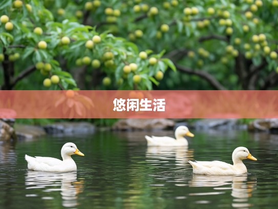 乳鸭池塘三五米,熟梅天气一四阴——揭秘一四阴天下的悠闲生活秘诀 乳鸭池塘三五米,熟梅天气一四阴——揭秘一四阴天下的悠闲生活秘诀