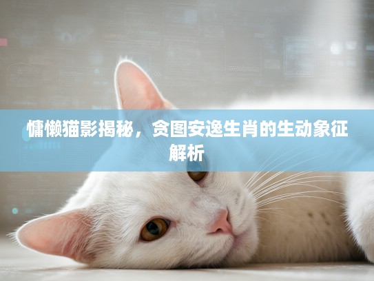 慵懒猫影揭秘，贪图安逸生肖的生动象征解析