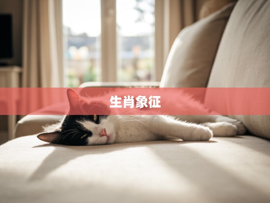 慵懒猫影揭秘，贪图安逸生肖的生动象征解析
