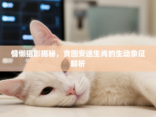 慵懒猫影揭秘，贪图安逸生肖的生动象征解析