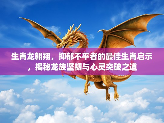 生肖龙翱翔，抑郁不平者的最佳生肖启示，揭秘龙族坚韧与心灵突破之道