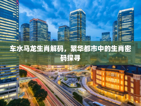 车水马龙生肖解码，繁华都市中的生肖密码探寻