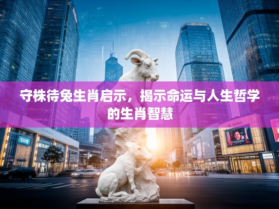 守株待兔生肖启示，揭示命运与人生哲学的生肖智慧