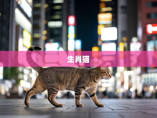心灵相通的猫步轻悄，揭秘善解人意生肖猫的独特魅力