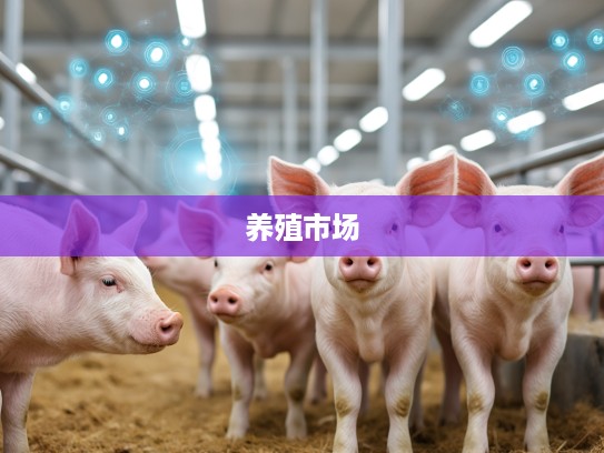 今期牛猪鸡出特，揭秘养殖市场奇珍异宝的神秘面纱