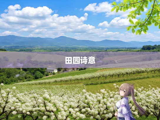 瓜田李下，探寻五六加背后的田园诗意之旅与文化探索