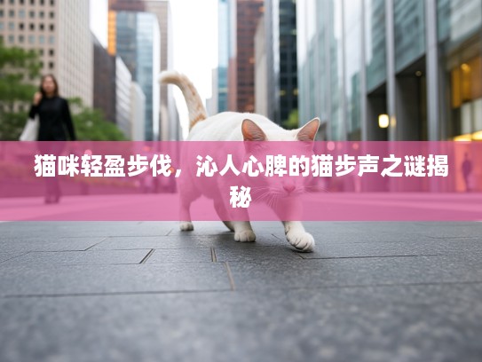 猫咪轻盈步伐，沁人心脾的猫步声之谜揭秘