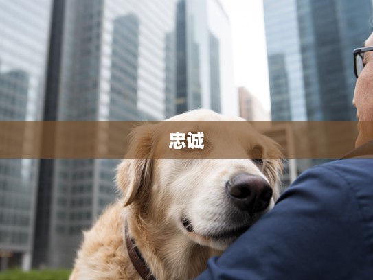 沁肺犬情,忠诚友爱象征的沁心狗狗,揭示生肖之犬的温馨故事 沁肺犬情,忠诚友爱象征的沁心狗狗,揭示生肖之犬的温馨故事