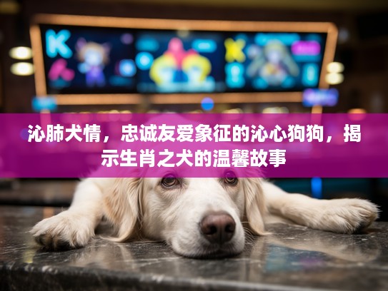 沁肺犬情,忠诚友爱象征的沁心狗狗,揭示生肖之犬的温馨故事 沁肺犬情,忠诚友爱象征的沁心狗狗,揭示生肖之犬的温馨故事