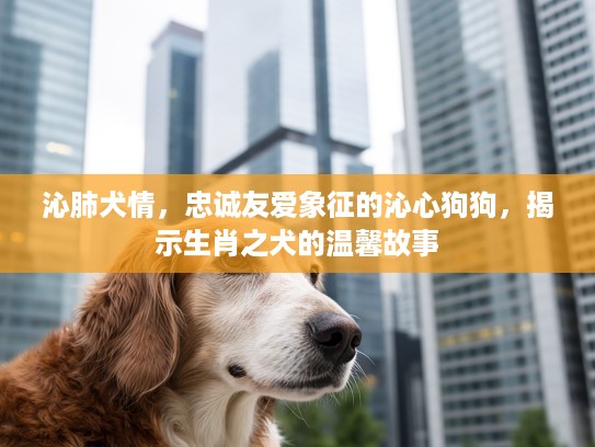 沁肺犬情,忠诚友爱象征的沁心狗狗,揭示生肖之犬的温馨故事 沁肺犬情,忠诚友爱象征的沁心狗狗,揭示生肖之犬的温馨故事