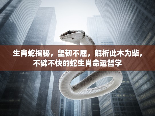 生肖蛇揭秘,坚韧不屈,解析此木为柴,不劈不快的蛇生肖命运哲学 生肖蛇揭秘,坚韧不屈,解析此木为柴,不劈不快的蛇生肖命运哲学