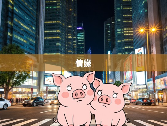 感慨满溢,生肖情缘——揭秘我与最佳生肖猪的深厚不解之缘 感慨满溢,生肖情缘——揭秘我与最佳生肖猪的深厚不解之缘