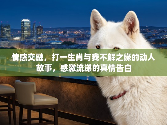 情感交融,打一生肖与我不解之缘的动人故事,感激流涕的真情告白 情感交融,打一生肖与我不解之缘的动人故事,感激流涕的真情告白