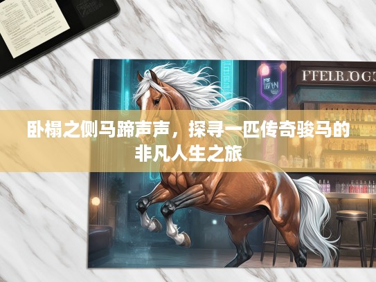 卧榻之侧马蹄声声，探寻一匹传奇骏马的非凡人生之旅