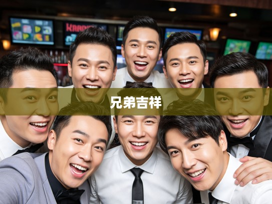 六七结兄弟，二九三十吉象探秘，生肖文化中的兄弟吉祥象征解读