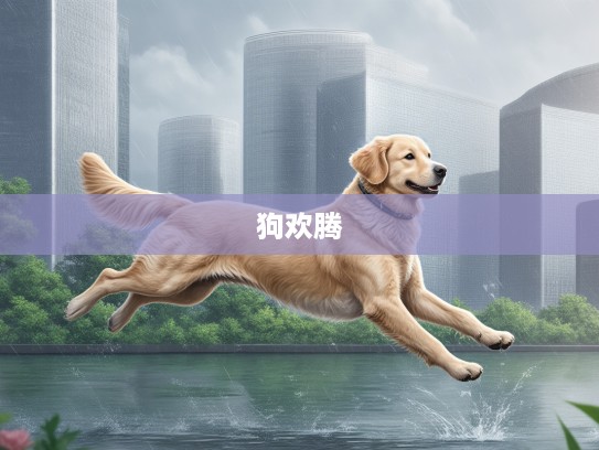 夏雨淋洒唤狗跃,夏日阵雨生肖狗欢腾瞬间 夏雨淋洒唤狗跃,夏日阵雨生肖狗欢腾瞬间