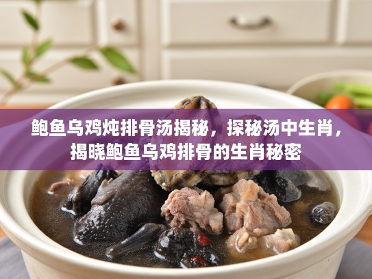 鲍鱼乌鸡炖排骨汤揭秘，探秘汤中生肖，揭晓鲍鱼乌鸡排骨的生肖秘密