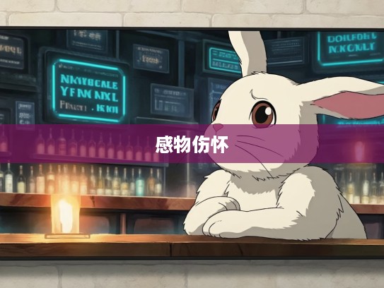 感物伤怀,打一生肖,兔子悲欢人生的心灵写照及情感剖析 感物伤怀,打一生肖,兔子悲欢人生的心灵写照及情感剖析