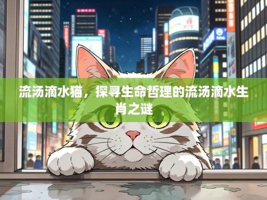 流汤滴水猫,探寻生命哲理的流汤滴水生肖之谜 流汤滴水猫,探寻生命哲理的流汤滴水生肖之谜
